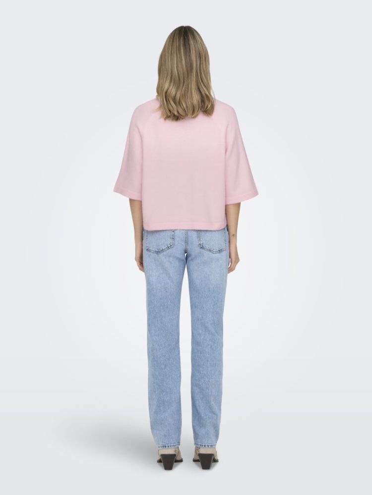 Pull ONLY 219832 Potpourr
