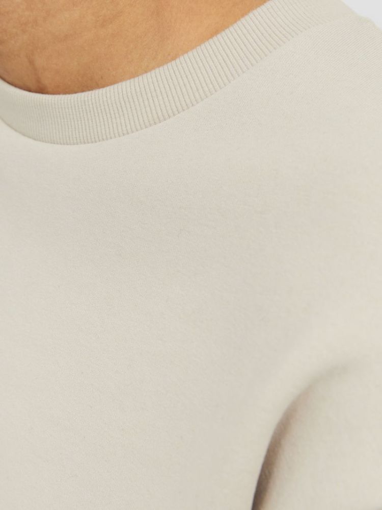 Sweater JACK & JONES 176631 Moonbeam
