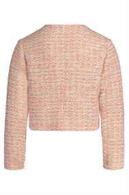 blazer dames