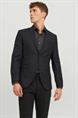blazer heren | GIKS
