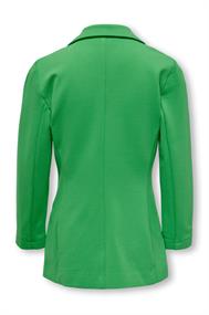 blazer mesjes