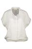 bloes dames | GIKS