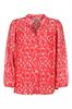 bloes dames | GIKS