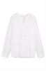 bloes dames | GIKS