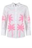 bloes dames | GIKS