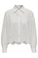 bloes dames | GIKS