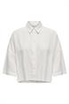 bloes dames | GIKS