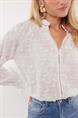 bloes dames | GIKS