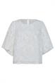 bloes dames | GIKS