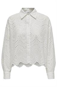 bloes dames | GIKS