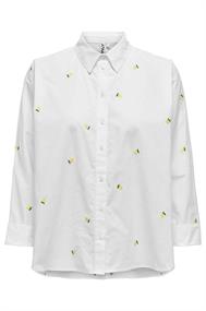 bloes dames | GIKS