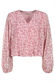 bloes dames | GIKS