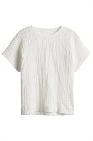 bloes dames | GIKS