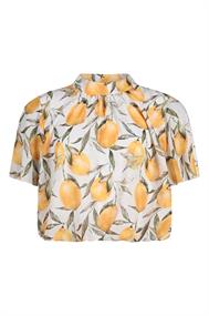 bloes dames | GIKS