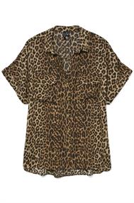 bloes dames | GIKS