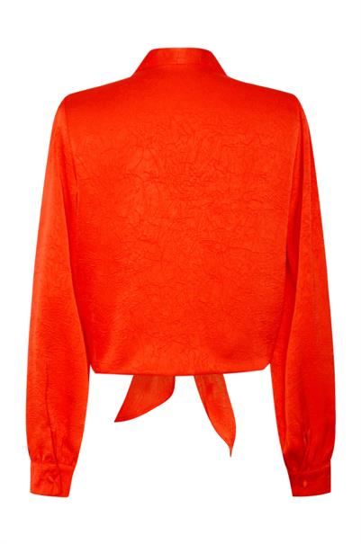 bloes dames | GIKS