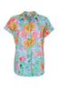 bloes dames | GIKS