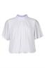 bloes dames | GIKS