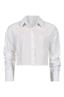 bloes dames | GIKS