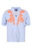 bloes dames | GIKS