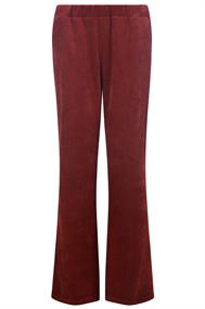 broek dames
