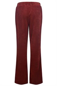 broek dames