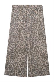 broek meisjes