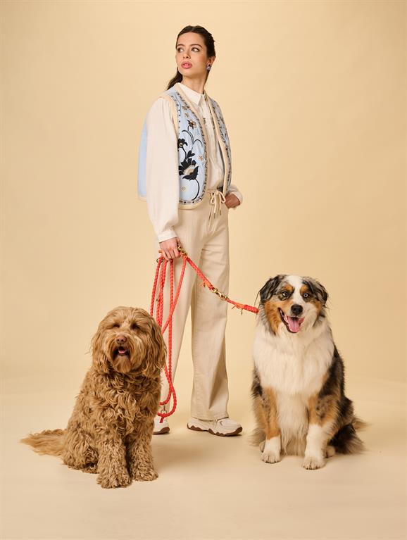 Dogsitter