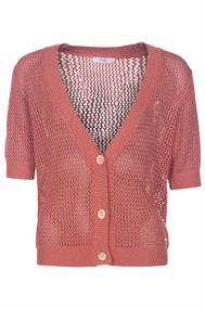 gilet dames