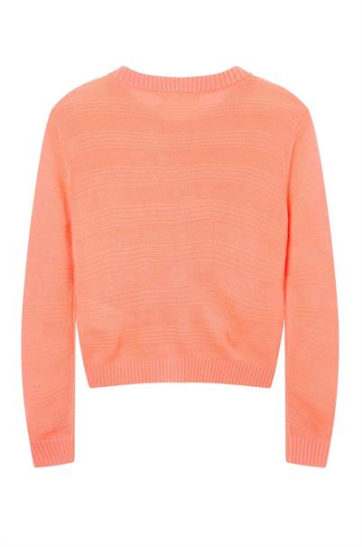 gilet meisjes | GIKS