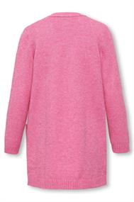 gilet meisjes