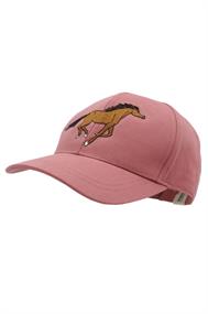M petten