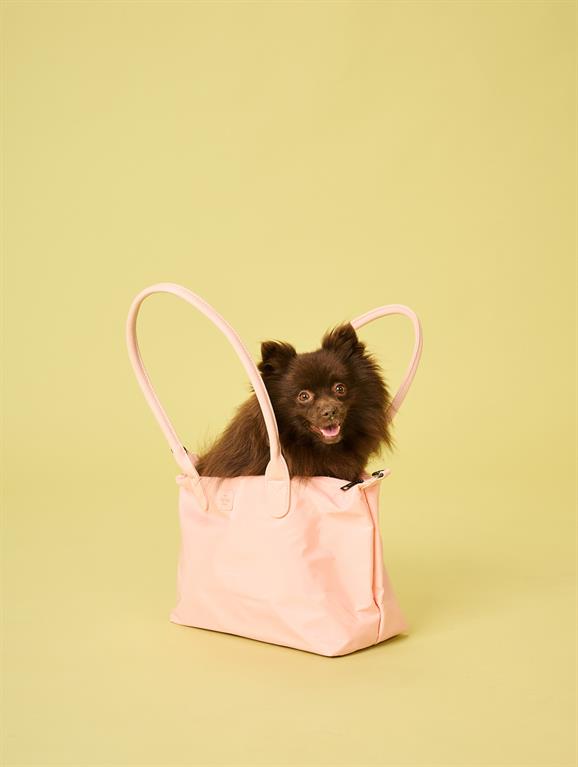 Pink bag