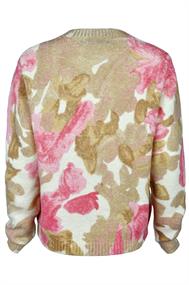 pull dames
