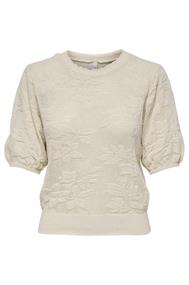 pull dames