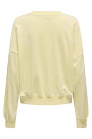 sweater dames
