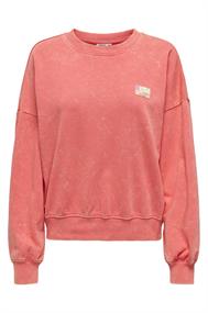 sweater dames