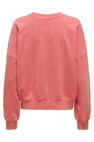 sweater dames