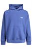 sweater heren | GIKS