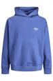 sweater heren | GIKS