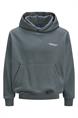 sweater heren | GIKS