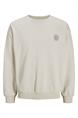 sweater heren | GIKS