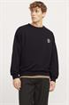 sweater heren | GIKS