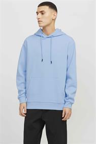 sweater heren | GIKS