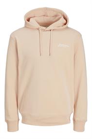 sweater heren | GIKS