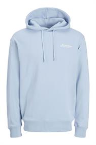 sweater heren | GIKS