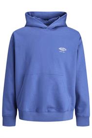 sweater heren | GIKS