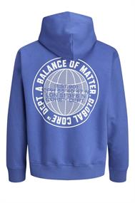 sweater heren | GIKS