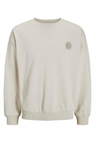 sweater heren | GIKS