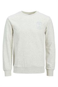 sweater heren | GIKS